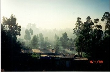 Short- term paid work: Assistance with Film Translation Needed