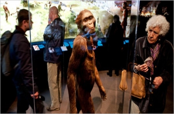 They Didn’t Love Lucy in Seattle