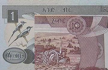 Ethiopia Devalues Birr 9.9% Against the Dollar