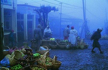 Ethiopia 27 million years ago had higher rainfall, warmer soil