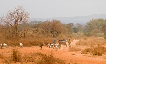 Tadias’ Favorite Charitable Organizations