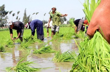 On the Nile, Egypt cuts water use as Ethiopia dams for power