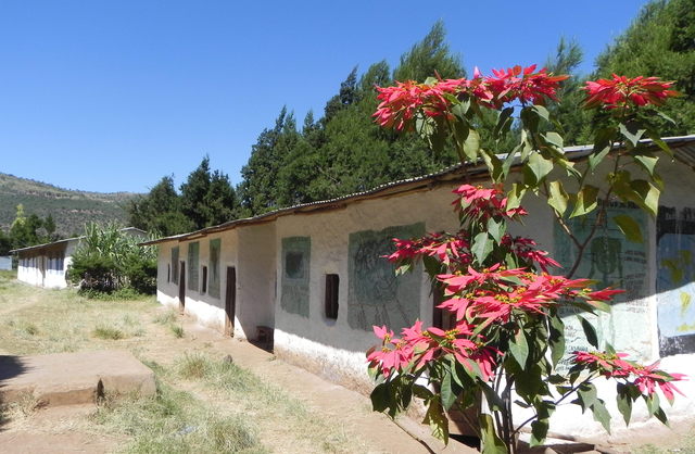 Interview with Rev. Richards, President of the Abyssinian Fund