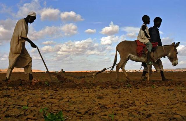 Africa Succumbs to Colonial-style Land Grab