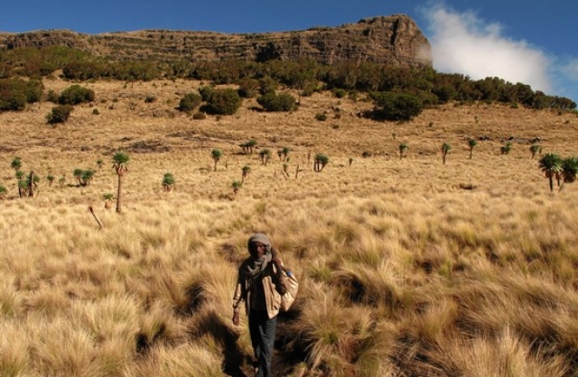 Simien Mountains: One of the World’s Most Elevated & Isolated Wonderlands