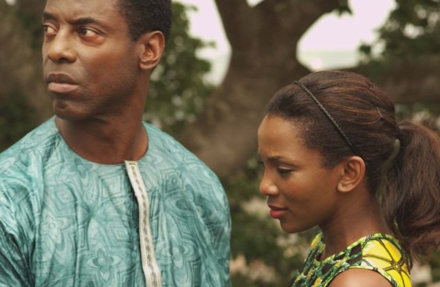 The 2012 African Diaspora Film Festival