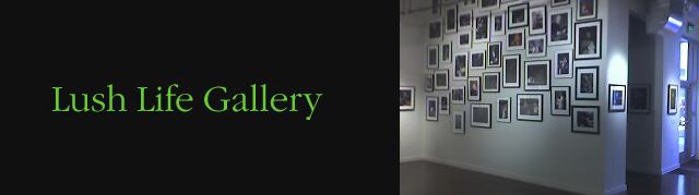 SELEDA: Ethiopian Art Exhibition in the Bay Area