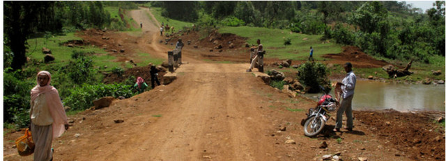 How An Ethiopian Bean Became The Cinderella Of Coffee (NPR)