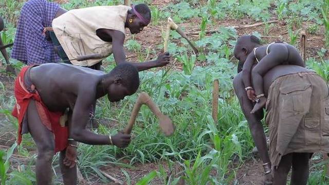 Human Rights Groups: Donor Countries Fuel Abuse in Ethiopia (VOA)