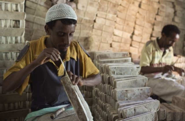 World Bank Sees Ethiopia GDP Grow at 7 Percent for Medium Term