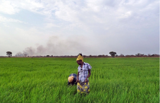 Ethiopia’s Farm Investment Plans Falter on Flood Plain