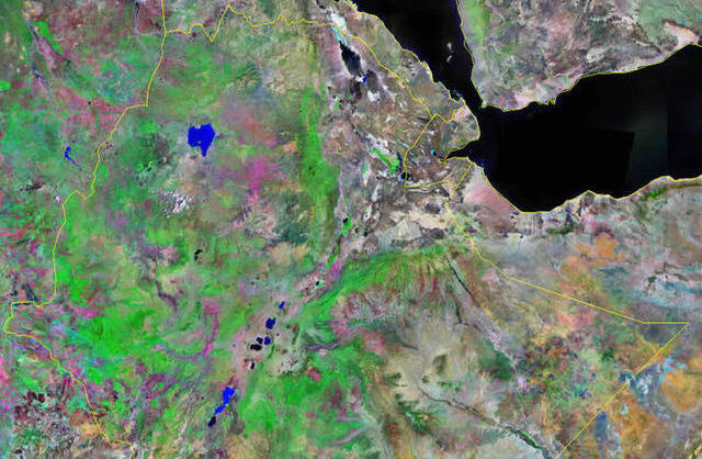 Four Killed in Bomb Blast as Ethiopia Raises Security Alert: Official