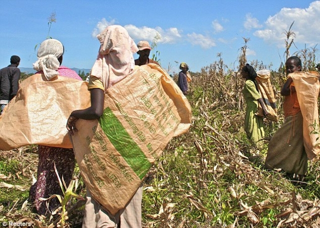 Ethiopian Farmer Gets Legal Aid From UK to Sue UK Over Aid to Ethiopia