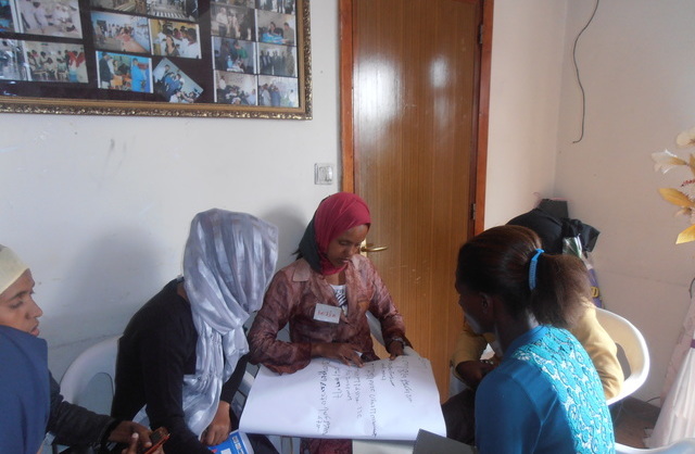 Meron Gebru: My Experience as a Diaspora Volunteer in Ethiopia