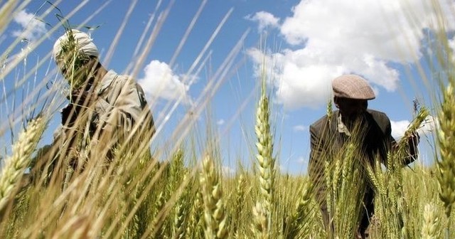 Climate-Driven Migration Increasing Disease Burden in Ethiopia