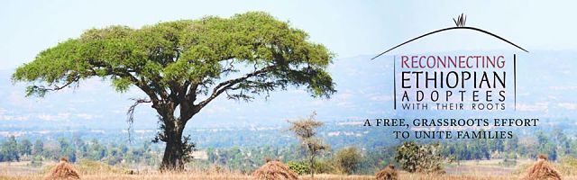 The Ethiopian Adoption Connection