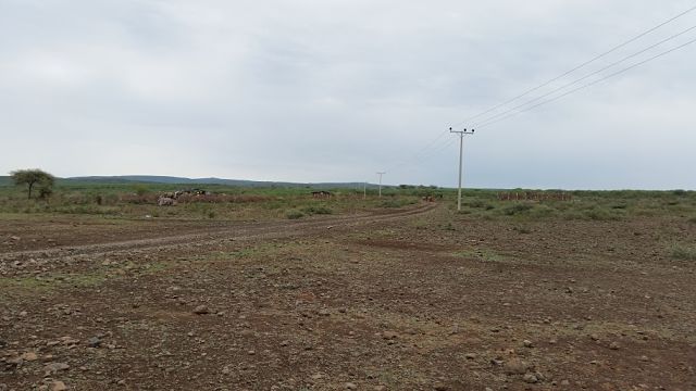 El Niño Strikes Ethiopia (NY Times)
