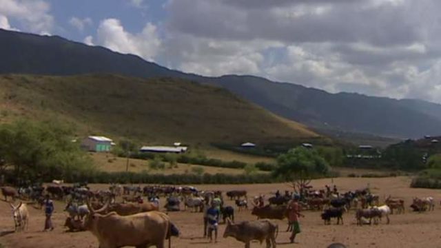 Ethiopia Starts Distribution of Food & Cooking Oil to People in Drought Hit Areas