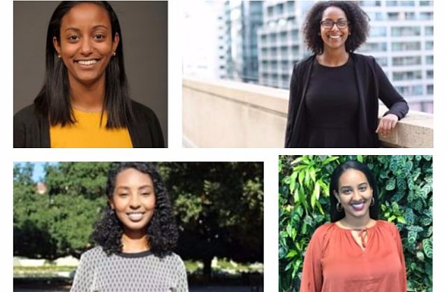 The 2017 Ethiopian Diaspora Fellows