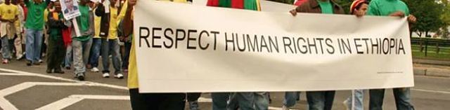 Diaspora: Whatever Happened to Our So-Called Ethiopia Rights Advocates?