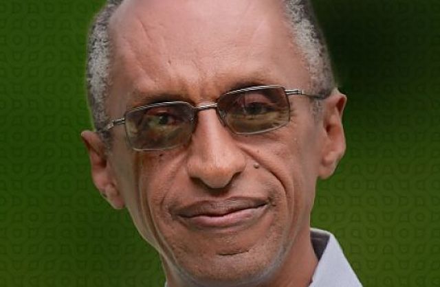 Interview with Dr. Bisrat Aklilu About the Ethiopian Diaspora Trust Fund