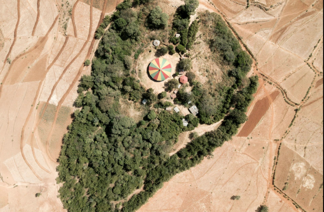 National Geographic: Ethiopia’s ‘Church Forests’ Center of Hope for Conservation