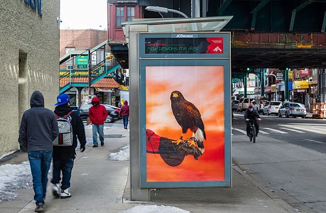 The Guardian: Jember Teferra Obituary