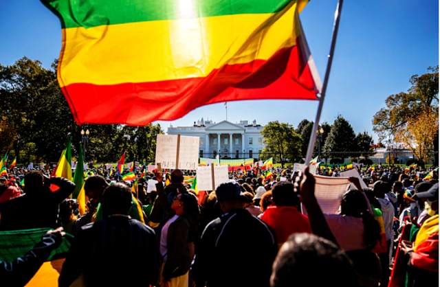 In U.S Ethiopian American Voters Send Biden a Message, Flipping Virginia Red