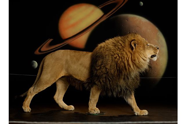 Art Talk: Awol Erizku Unveils New Exhibition at Gagosian Gallery in NYC