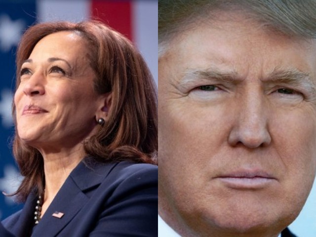 Election 2024: Ethiopian American Voters, Transition Teams, and the Road Ahead