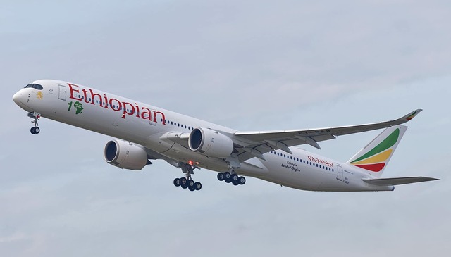 Daily Flights to NYC: Ethiopian Airlines Elevates U.S. Service